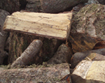firewood-dawlish_devon Firewood Dawlish Devon
