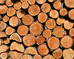 firewood-tiverton-devon Firewood Tiverton Devon