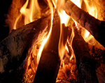 firewood_crediton Firewood Crediton