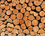 firewood_dawlish Firewood Dawlish Devon