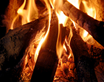 firewood_exeter Firewood Exeter Devon
