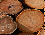 firewood_wellington Firewood Wellington Somerset