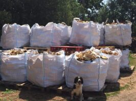 Extra-large-bag.jpg