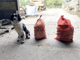 small-kindling-net.jpg